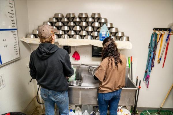 two students stand with backs to camera in front of sink washing pet dishes